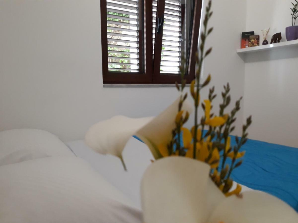Apartments Ardura Petrovac Bagian luar foto